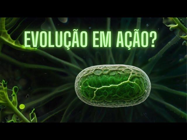 Biólogo PhD reage: Evolução rara! Alga engloba bactéria e cria novo organismo