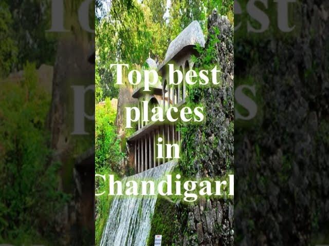 Top best places in Chandigarh | #shorts #shortsvideo #youtubeshorts #youtubeshort