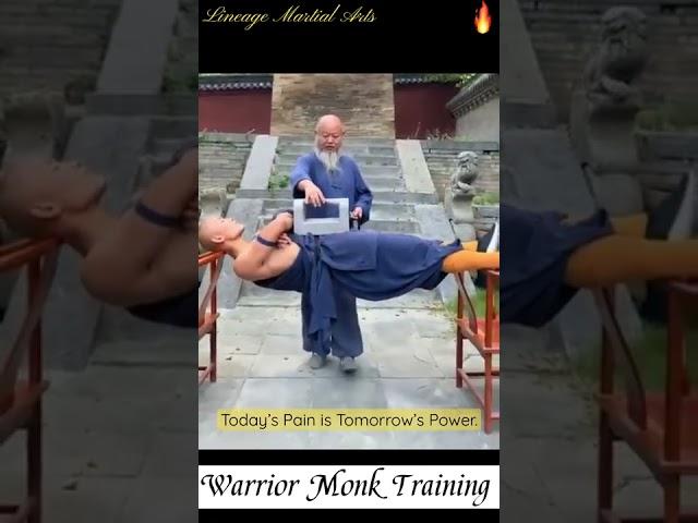 Shaolin  Warrior Monk Training #shorts #kungfu #martialarts