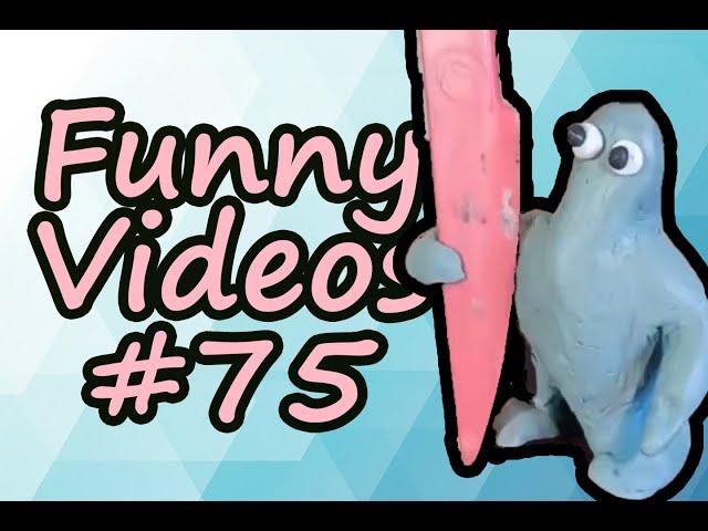 FUNNY VIDEO COMPILATION COUB #75 | SPICY MEME HOUSE