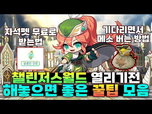 챌린저스월드 알차게 기다리는 방법! (할게 없다면 반드시 보세요.)