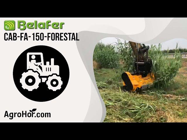 Belafer CAB-FA-150-Forestal excavator mulcher I Agrohof