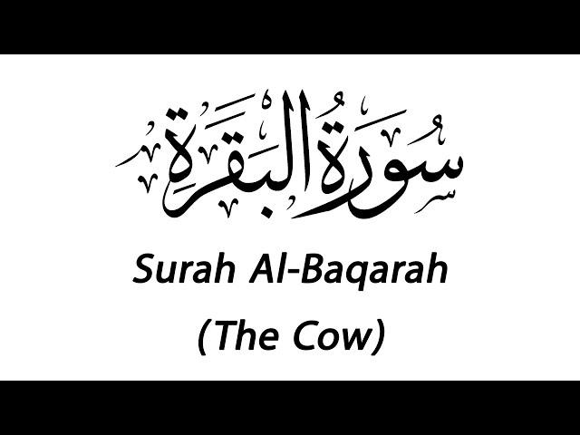 Surah Al-Baqarah [Shia Translation] - Mishary Rashid Alafasy [No Ads]