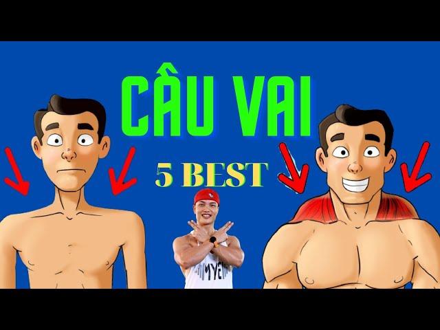 Tập cơ cầu vai (Traps) đúng cách/ 5 Best tập cơ cầu vai