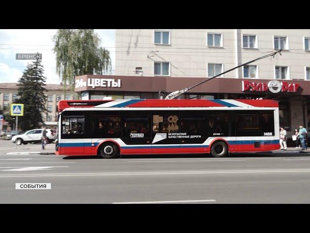 В Брянске полиция задержала избившую водителя троллейбуса маргиналку