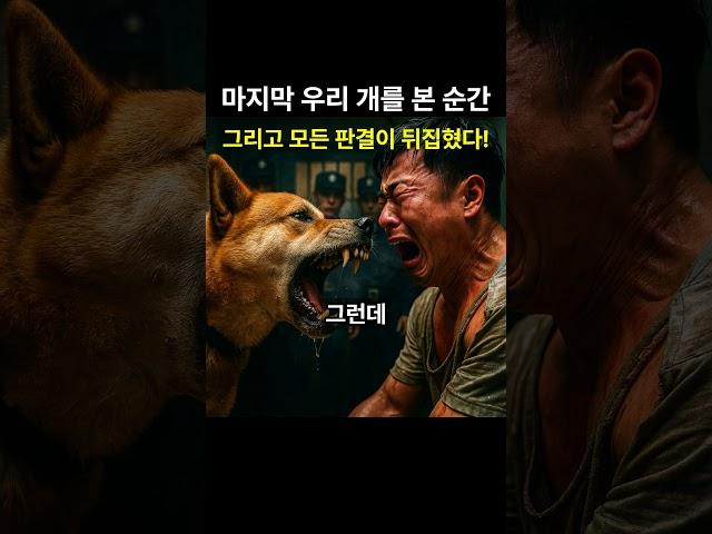 죽기 직전 개를 찾았던 놀라운 이유 #인생사연 #사이다썰 #신청사연 #사연라디오 #드라마 #사이다사연 #감동사연 #오디오북 #사연공유 #오디오드라마 #인생스토리 #삶의지혜