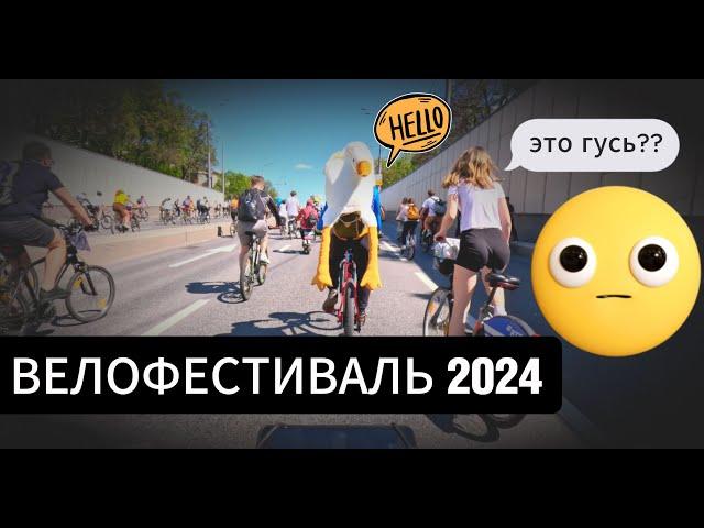 Велофестиваль 2024 Москва | На велосипеде в 4К | Прокатил Гуся на велопараде 2024