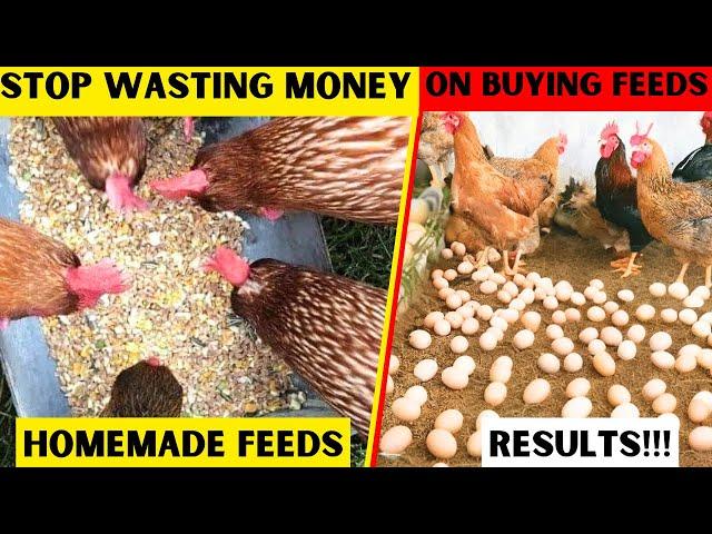 STOP WASTING MONEY ON CHICKEN FEEDS | SAVE MONEY BY FORMULATING AND MIXING YOUR OWN FEED AT HOME