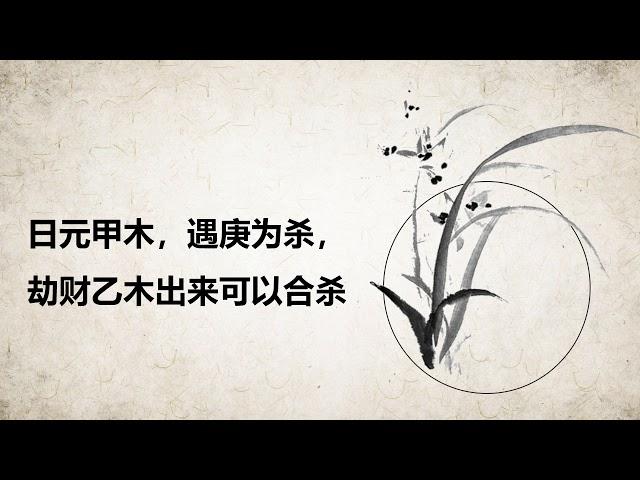 069劫财合杀的象_无为子能量八字视频课程