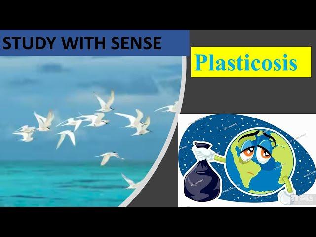 Harmful Disease from plastic - PLASTICOSIS