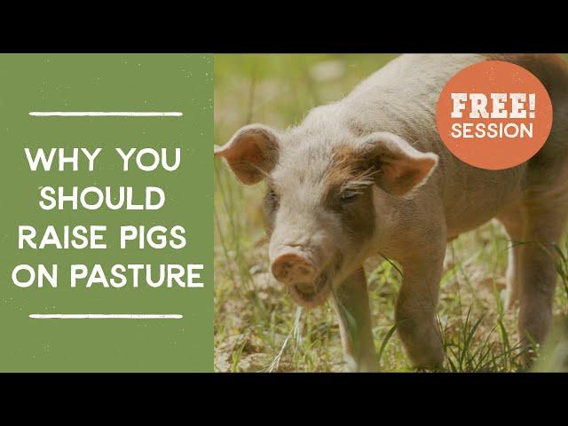 Why You Should Raise Pigs on Pasture: Free Masterclass Session | Joel Salatin's Farm Like a Lunatic