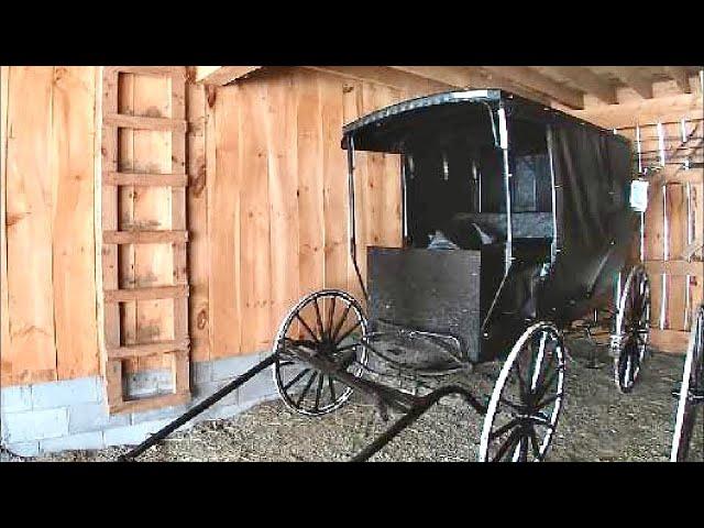 How Are Amish Buggies Made??