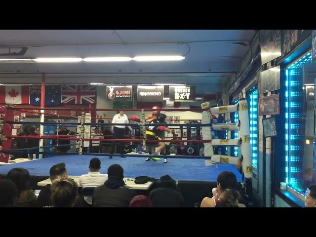 Elvis gonzalez boxing