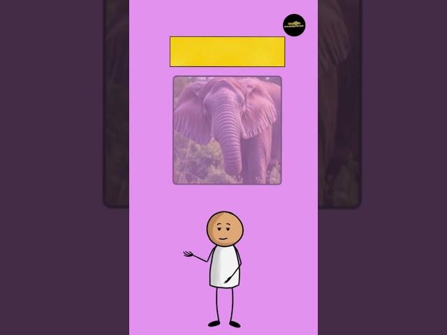  Quick Quiz Who Has the Most Sensitive Sense of Smell  #AnimalFacts #short, #ytshorts,