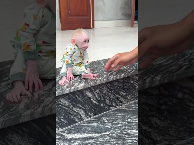 Bibi run to dad