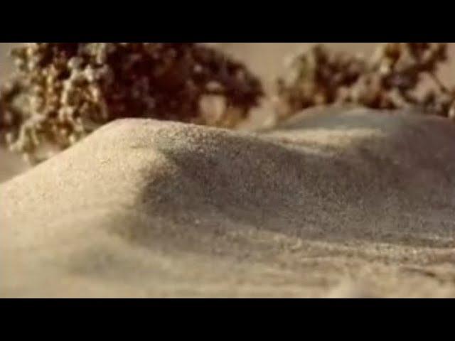 How to Make a Sand Dune | Dune | BBC Studios