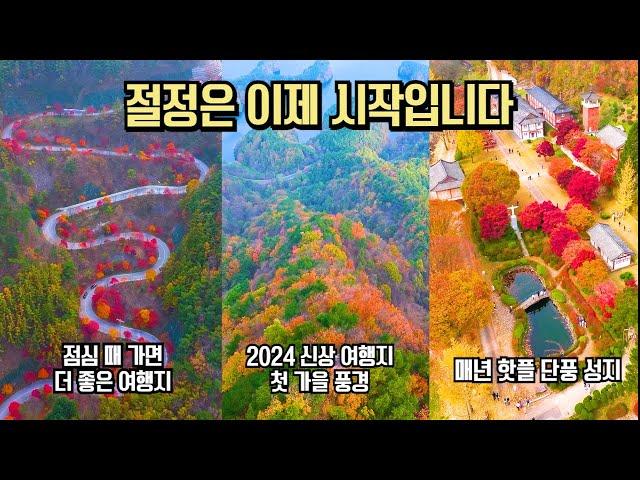 11월 단풍 은행 추천 국내 여행 아직 절정인 가을 여행 추천 BEST #국내여행 #여행추천