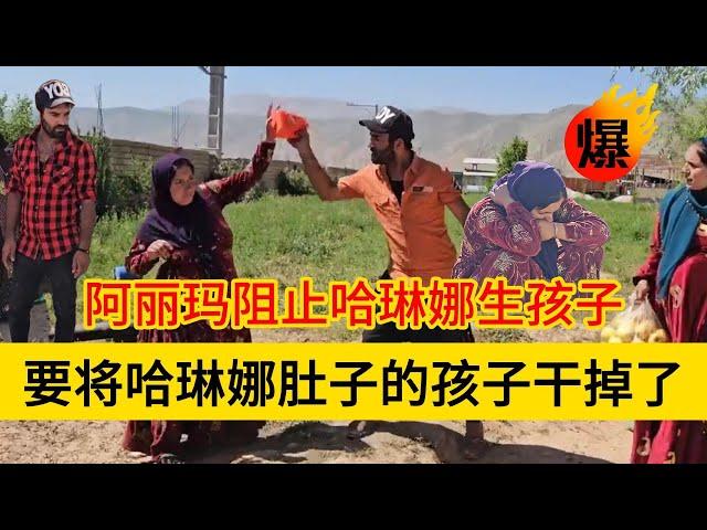 米拉德和哈琳娜最新后续，阿丽玛要阻止哈琳娜生孩子，做出了非常疯狂的事情