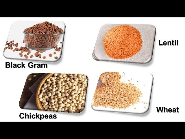 Grains and Cereals Name in English With Pictures,  Grains Name,  Pulses Names , Cereals Name