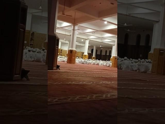 darululoom bilaliya ##viralshorts