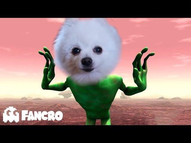 Dame Tu Cosita (Cover Animales)