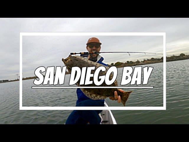 EASY Fishing San Diego Bay