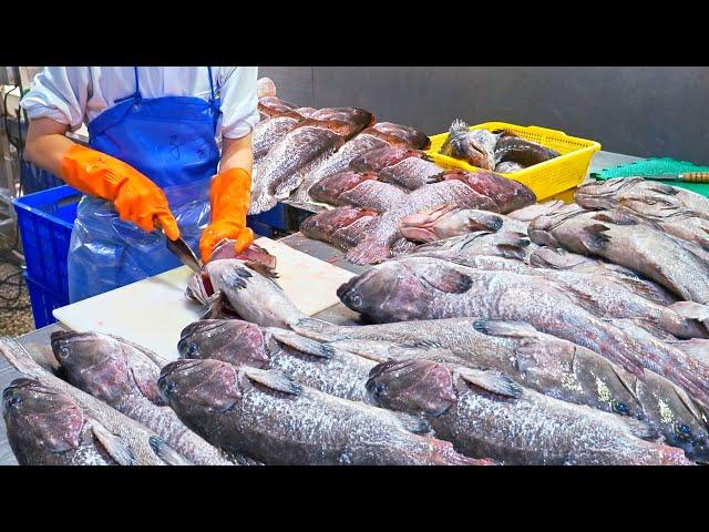 18,00Kg a day!！Amazing Grouper Fish Catch, Grouper Processing Plant / 魚潮來襲！1800公斤龍虎斑捕撈, 石斑魚切割-台灣食品工廠