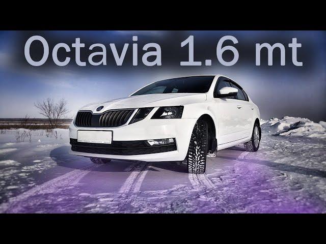 Обзор и тест драйв Skoda Octavia a7 (2019).Масложор и косяки сборки?