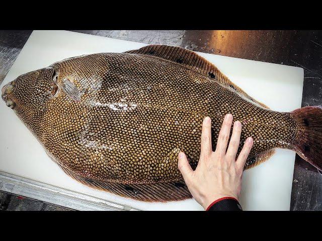 [유튜브 최초] 국내에서 제일 비싼 최고급 횟감을 드디어 맛보았습니다! (8.1kg 범가자미)