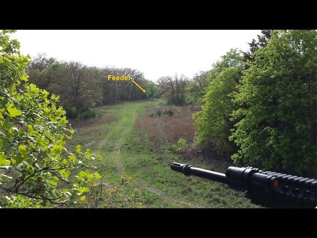 Sows & Piglets Pulsar XD50 Thermal Hog Hunt - Carpe Sus