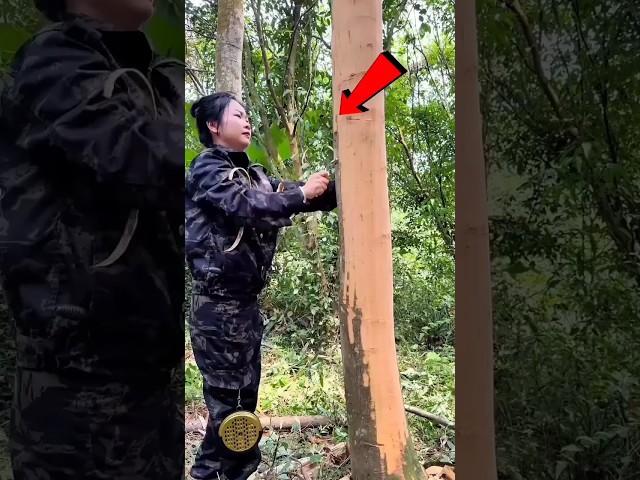 The Shocking Reason This Girl is Peeling a Tree!#ytshorts #shorts #shortfeed