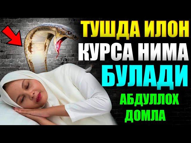 Абдуллох Домла Тушда илон курса нима булади Туш табири Abdulloh Domla tushda ilon korsa nima bo'ladi