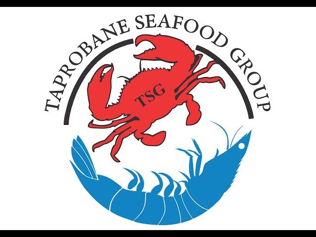 Taprobane Seafoods Group