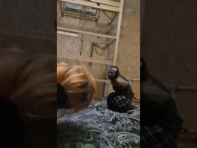 стеснительная Боня