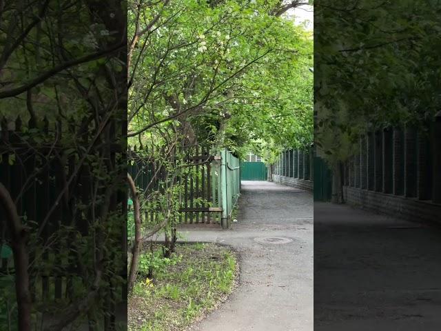 САМАЯ КОРОТКАЯ И УЗКАЯ УЛИЦА В МОСКВЕ!