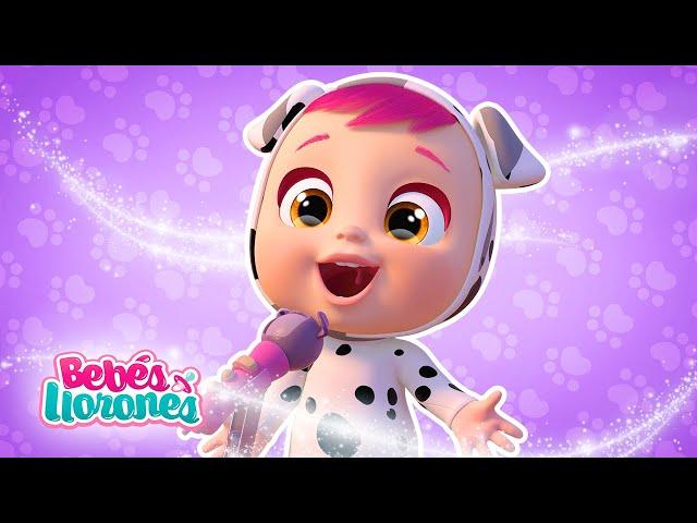 Fiesta en el Castillo  BEBÉS LLORONES  LÁGRIMAS MÁGICAS | Videos para niños en español