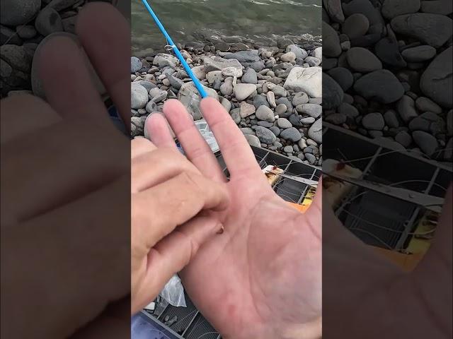 Рыбалка на донную снасть #приключения #рыбалка #fishing