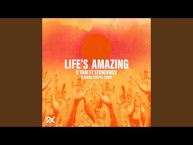 Life's Amazing (Remix)