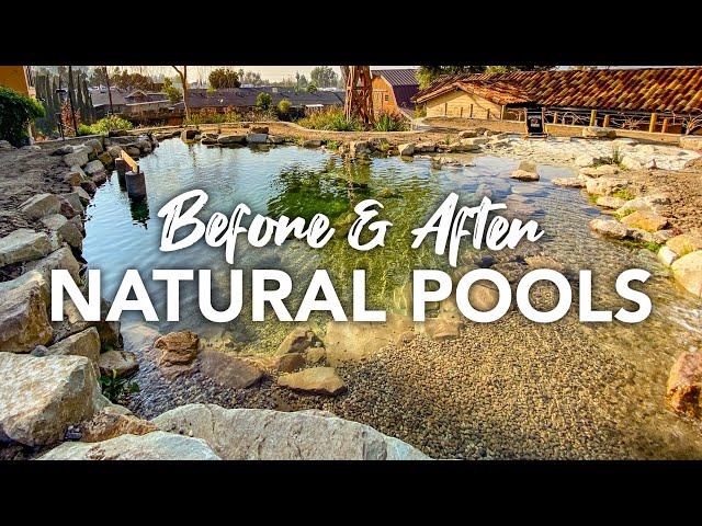 Natural Pools & Swim Ponds in California - No Chlorine or Chemicals - Aquascape System