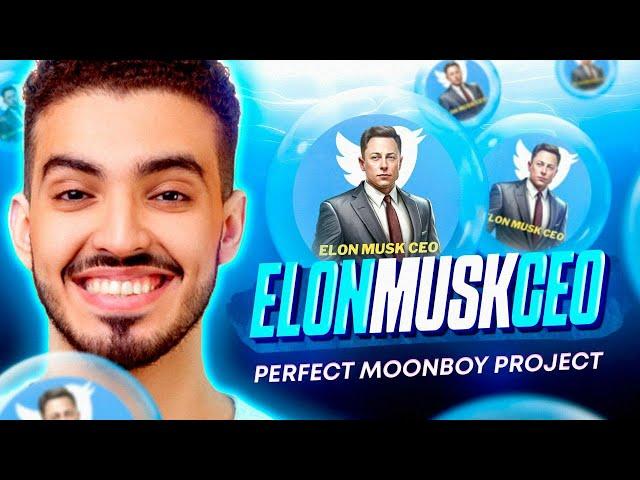 ELON MUSK CEO IS THE PERFECT MOONBOY PROJECT!!