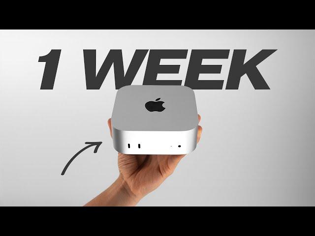 M4 Mac Mini – 1 Week Later: A $599 Base Model Review