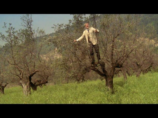 A Room with a View (1985) by James Ivory, Clip: George (Julian Sands) shouts out his credo: 'Beauty'