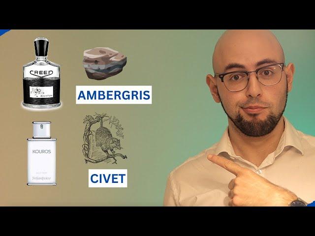 Explaining What Individual Perfume Notes Smell Like | Men's Cologne/Fragrance Review 2023