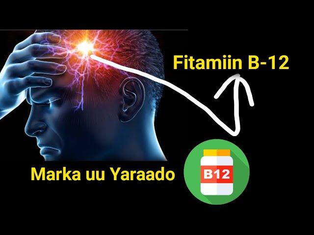 Fitamiin B-12 cuntooyinka Laga helo iyo hadii uu yaraado Halista ka dhalata Vitamin B-12