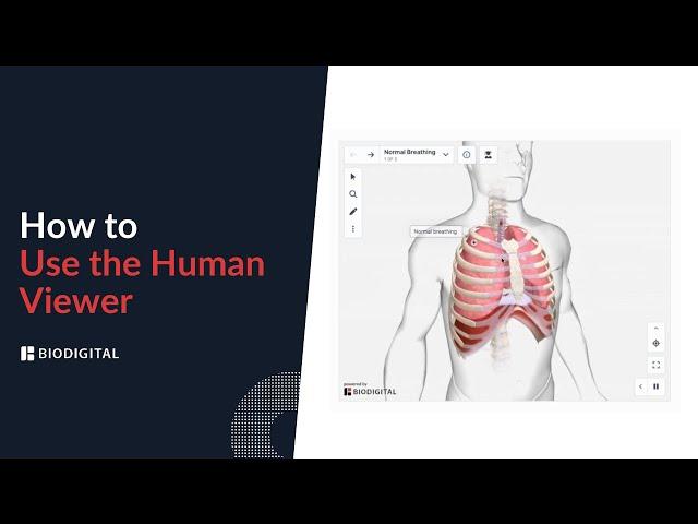 How to use the BioDigital Human Viewer