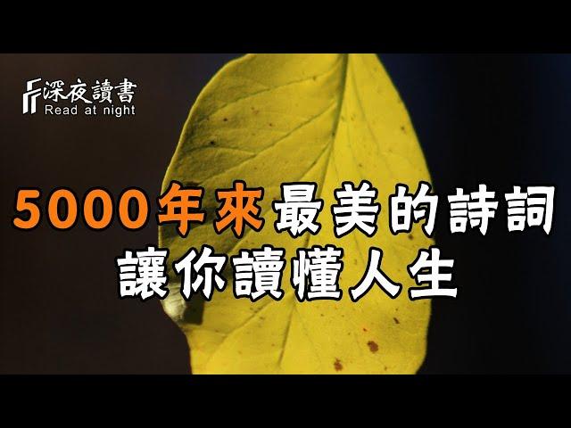 5000年來最美的10首詩詞，讓你讀懂人生！人生最值得挽留的是這樣【深夜讀書】