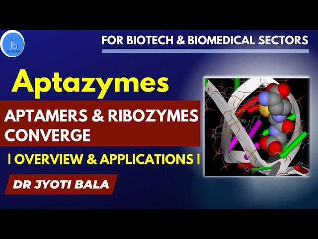 Aptazymes: Where Aptamers and Ribozymes Converge for Biotech & Biomedical Applications-Dr Jyoti Bala