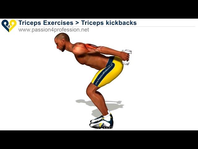 How To Do Triceps Kickbacks Exercise | Fit Nomads | Nomad Workout