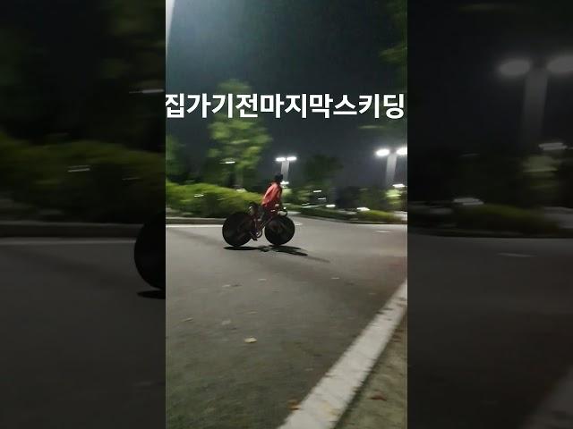9살쌍디픽시자전거스키딩