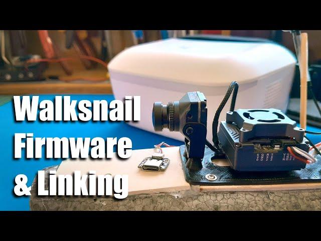 WalkSnail Goggles L linking and VTX firmware upgrade